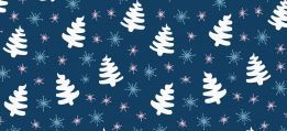 Winter Camps!