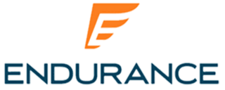 Endurance Logo | VIP Service Center