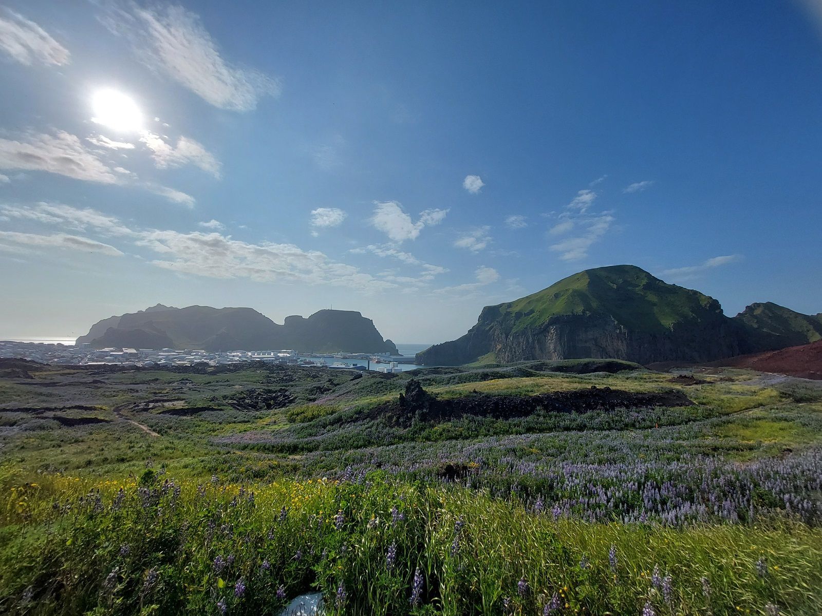 南部セリヤランズフォスの滝近くの港からフェリーで35分、アイスランドという島国のさらなる島、ウェストマン諸島のへイマエイ島をご紹介します！
