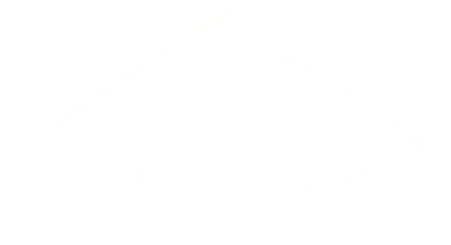 A white background with a few lines on it