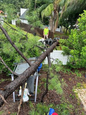 Fallen tree trunk across a wooded yard, with a worker in a neon vest clearing debris nearby