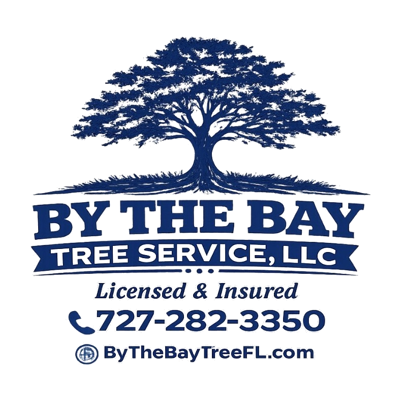 By The Bay Tree Service, LLC logo with blue tree graphic, license info, phone number, and website