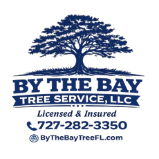 By The Bay Tree Service, LLC logo with blue tree graphic, license info, phone number, and website