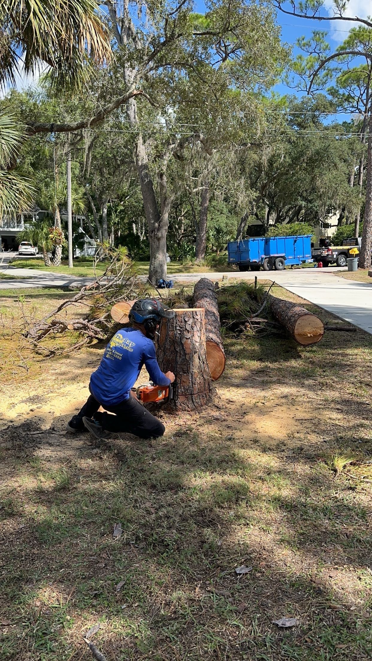 Worker in blue shirt trims a tree stump in a sunny yard with fallen branches nearby.