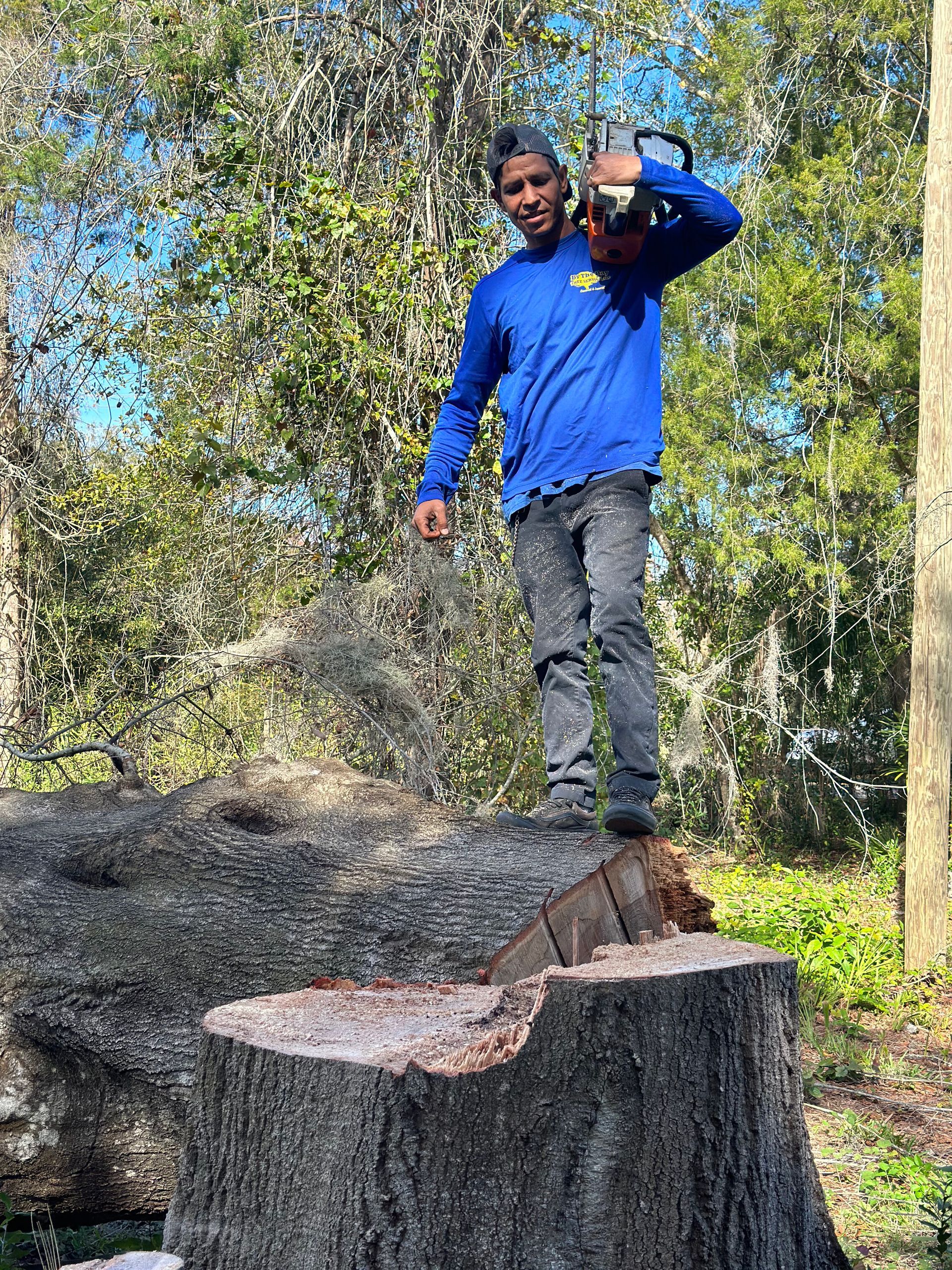 Person in a blue shirt standing on a tree stump in a wooded area.