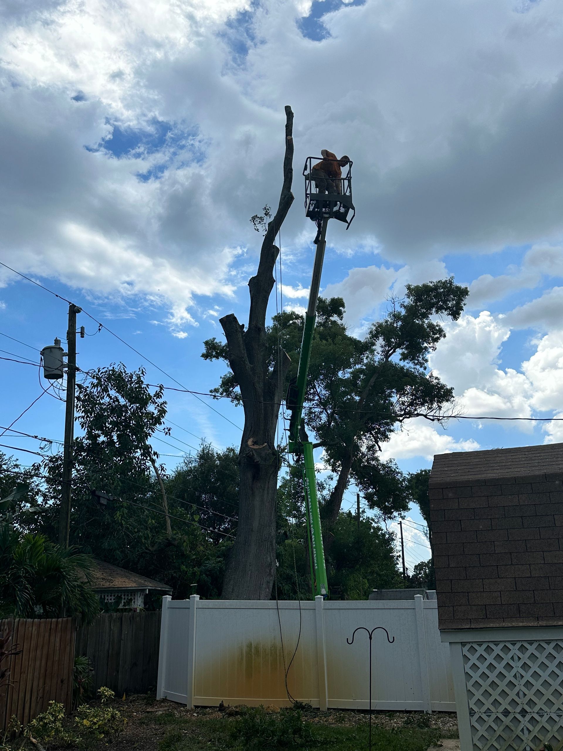 Tree being trimmed by a worker in a bucket lift above a white fence under a cloudy sky
