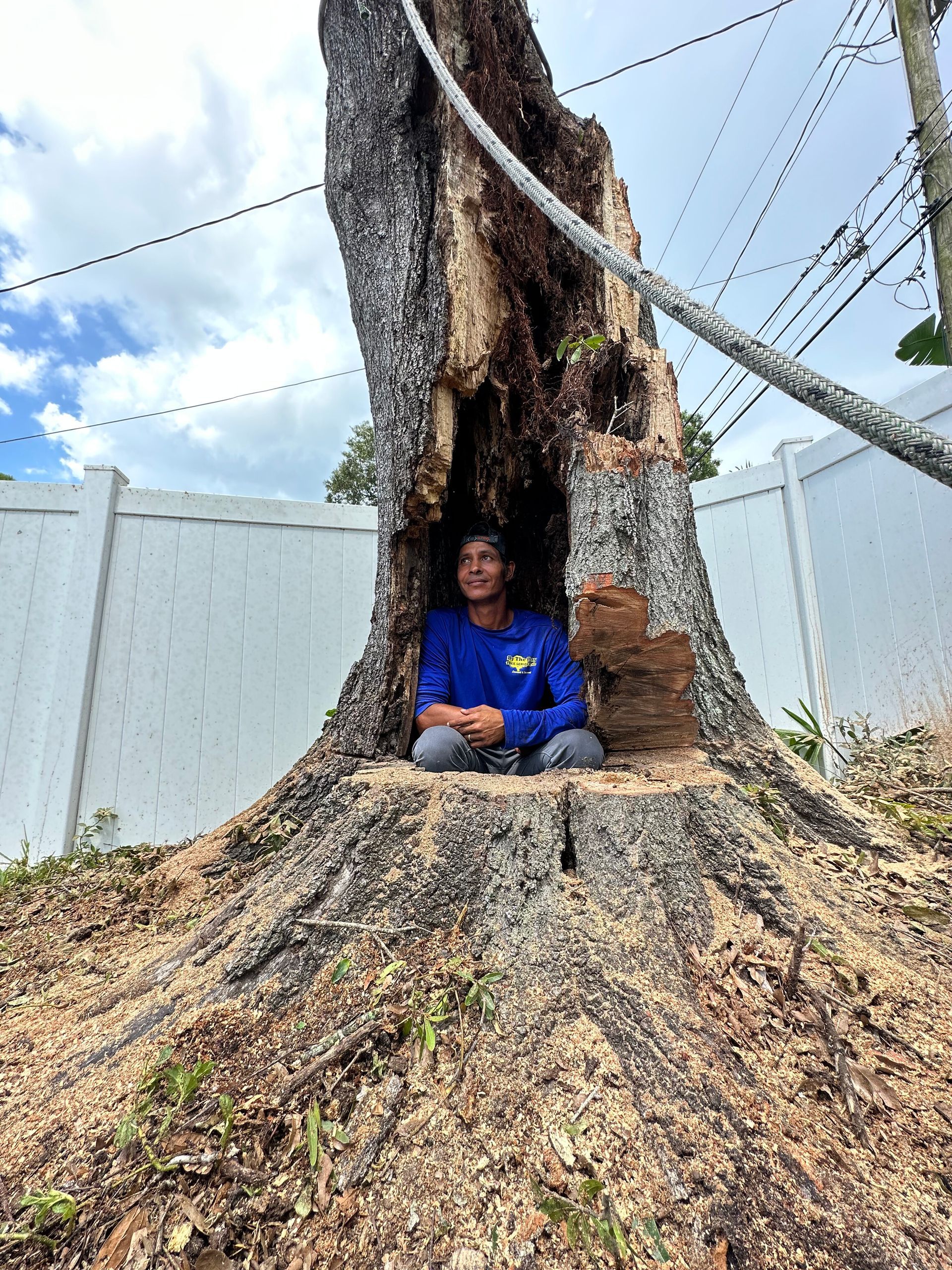 Person sitting in a hollow tree trunk, wearing a blue jacket, outdoors by a fence
