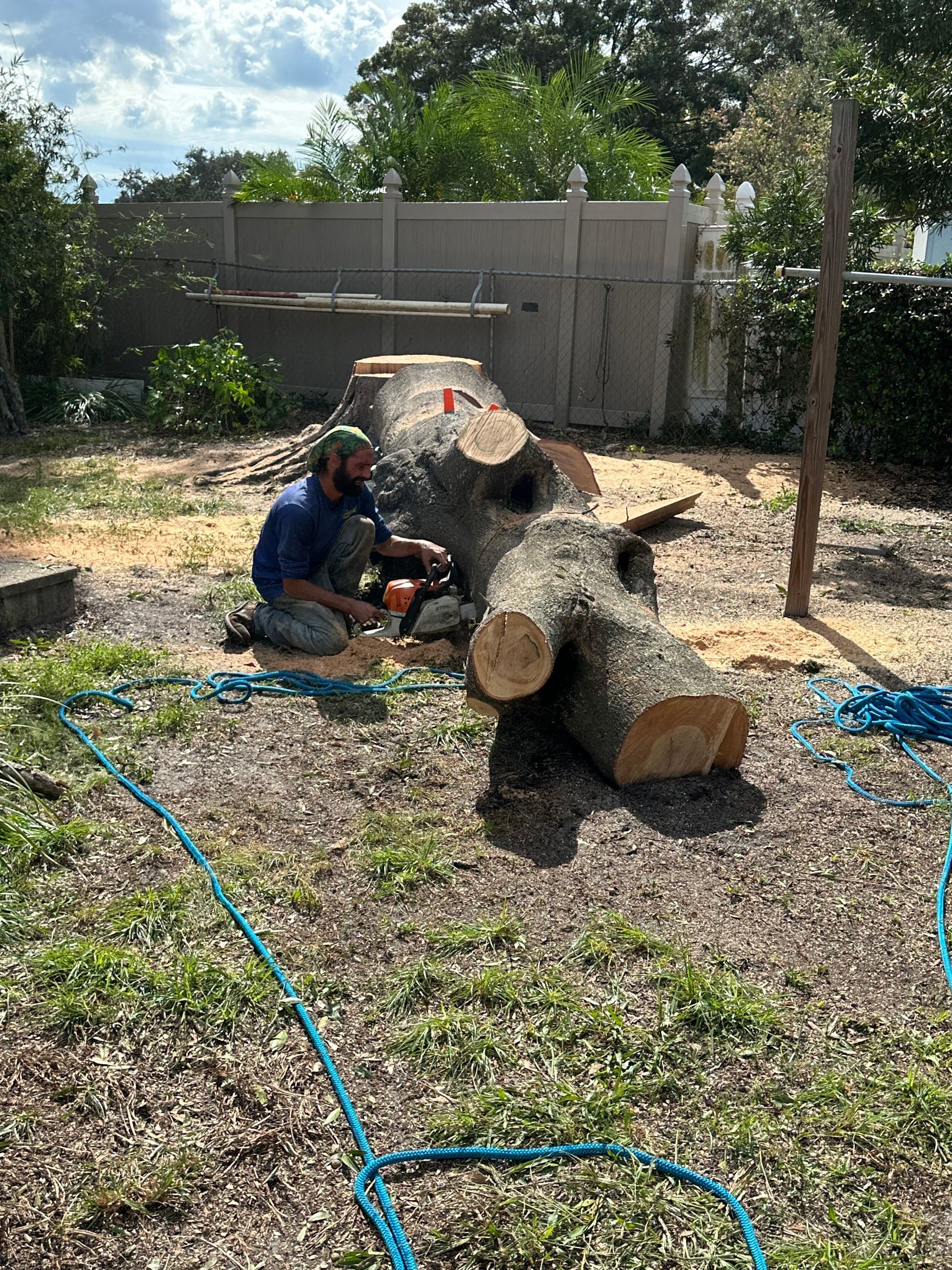 Person cutting a large tree trunk outdoors with a chainsaw, surrounded by logs and yard tools.