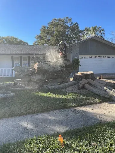 Worker cuts a large tree stump in front of a suburban house, with dust and logs scattered nearby.