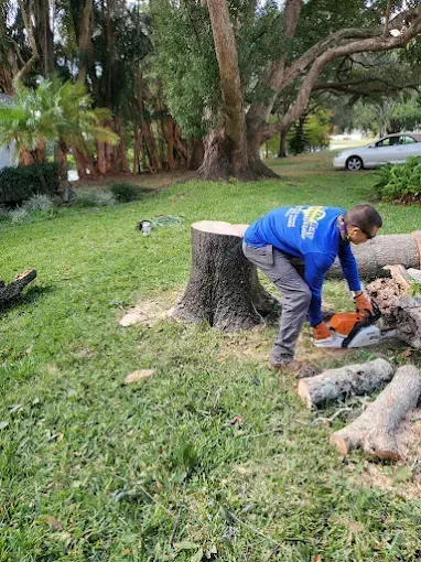 Worker in blue shirt trimming branches beside a large tree stump in a grassy yard