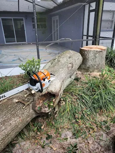 Orange chainsaw resting on a cut log beside a tree stump in a yard.