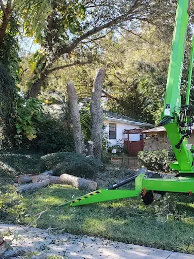 Green crane lifting cut tree trunks in a yard beside a small house
