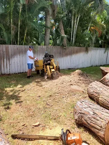 Worker beside wood chipper clearing debris in a backyard with palm trees and a fence.