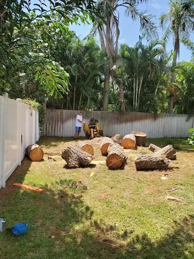 Backyard with cut logs scattered on grass and a person near a white fence under tall trees