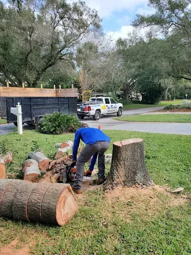 Worker chainsawing a fallen tree trunk beside a grassy roadside, with a wood chip pile nearby.