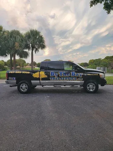 Black pickup truck with “B-Bug Tire Service” branding parked in a lot under cloudy skies.