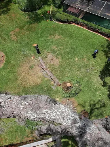 Aerial view of a grassy yard with two people near a fallen tree trunk and a rocky stream at the bottom.
