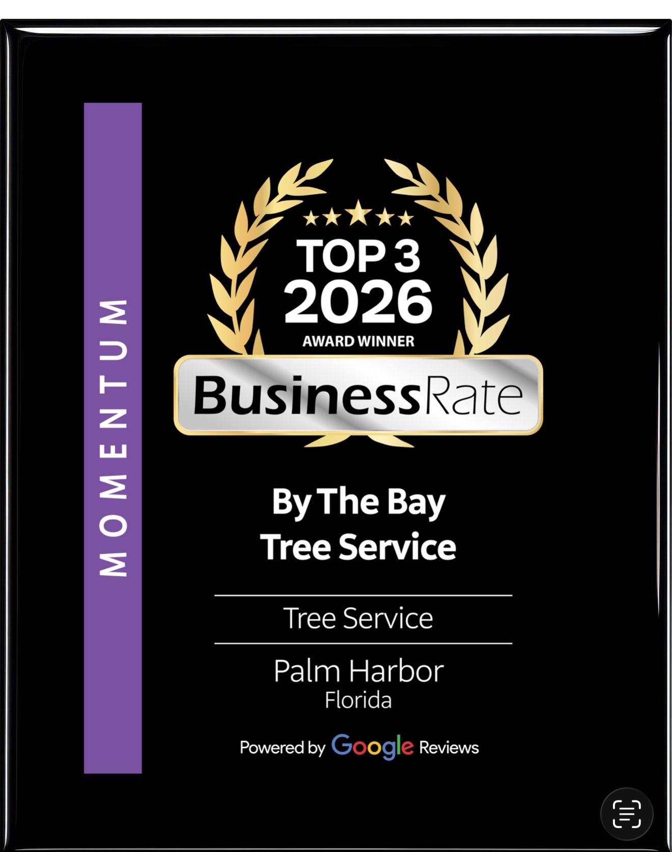 Black award plaque for BusinessRate Top 3 2026, honoring By The Bay Tree Service in Florida.