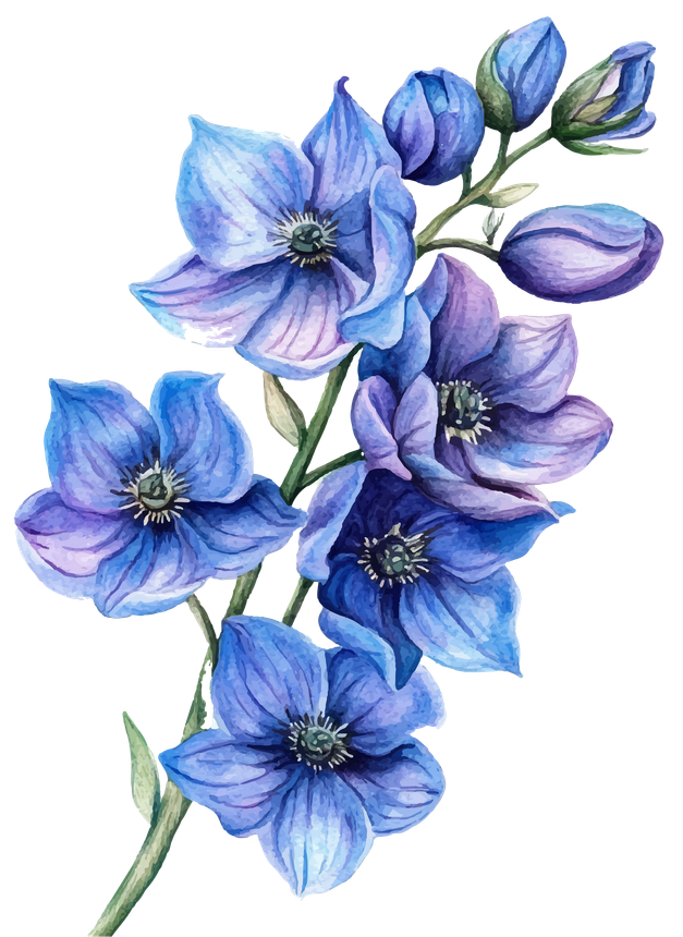 A watercolor illustration of a branch with vibrant blue and purple flowers and small buds.