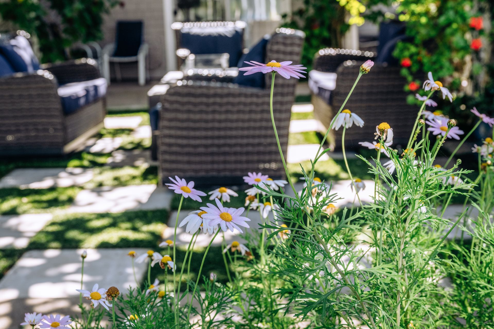 Sunny patio with wicker chairs, stone pavers, and purple wildflowers in the foreground