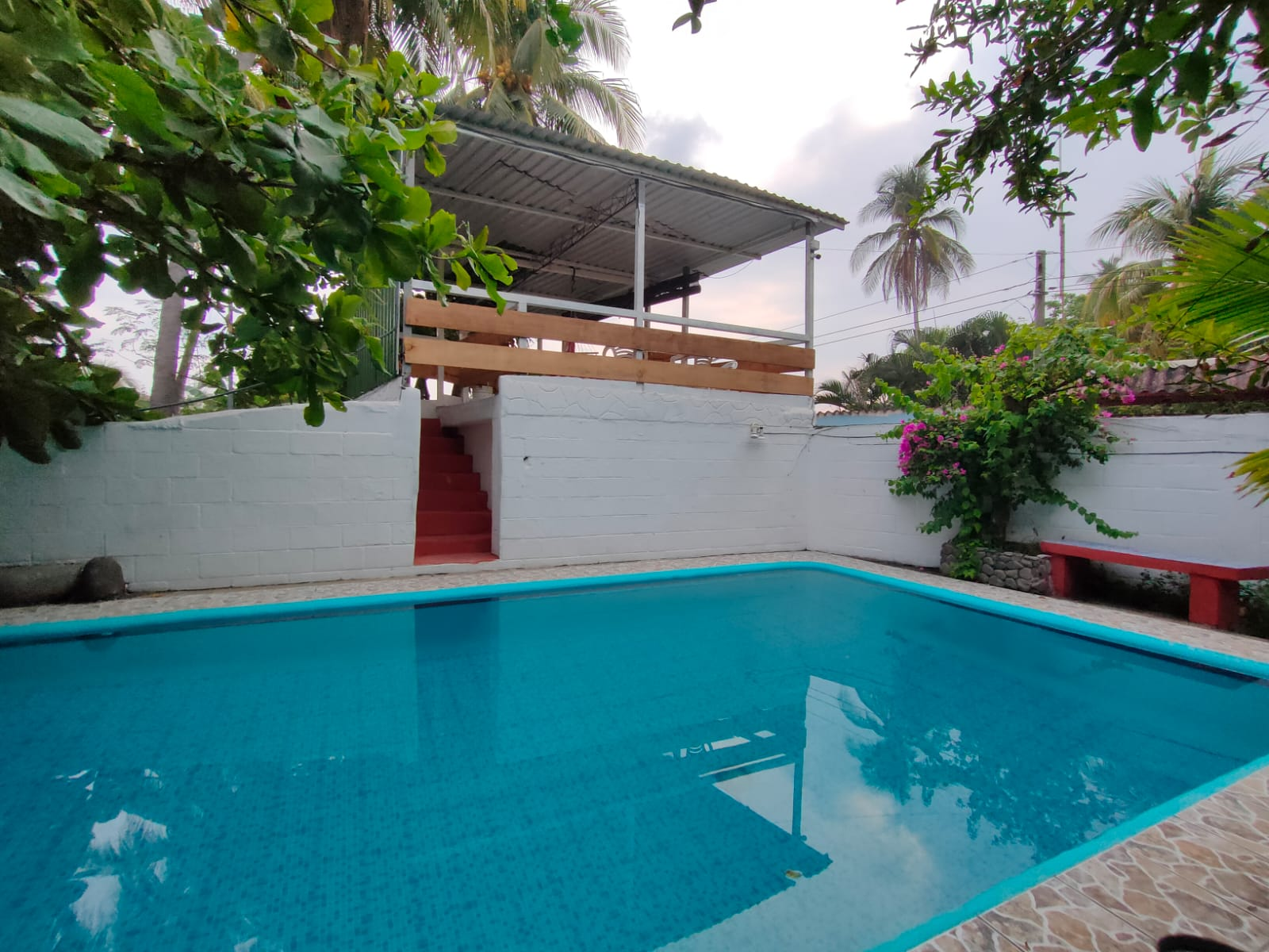 casa-tropical-jj