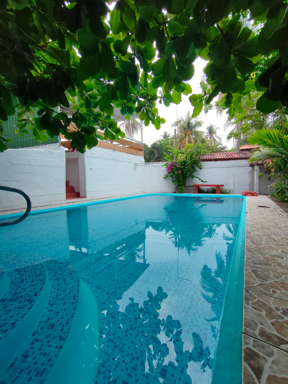 casa-tropical-jj
