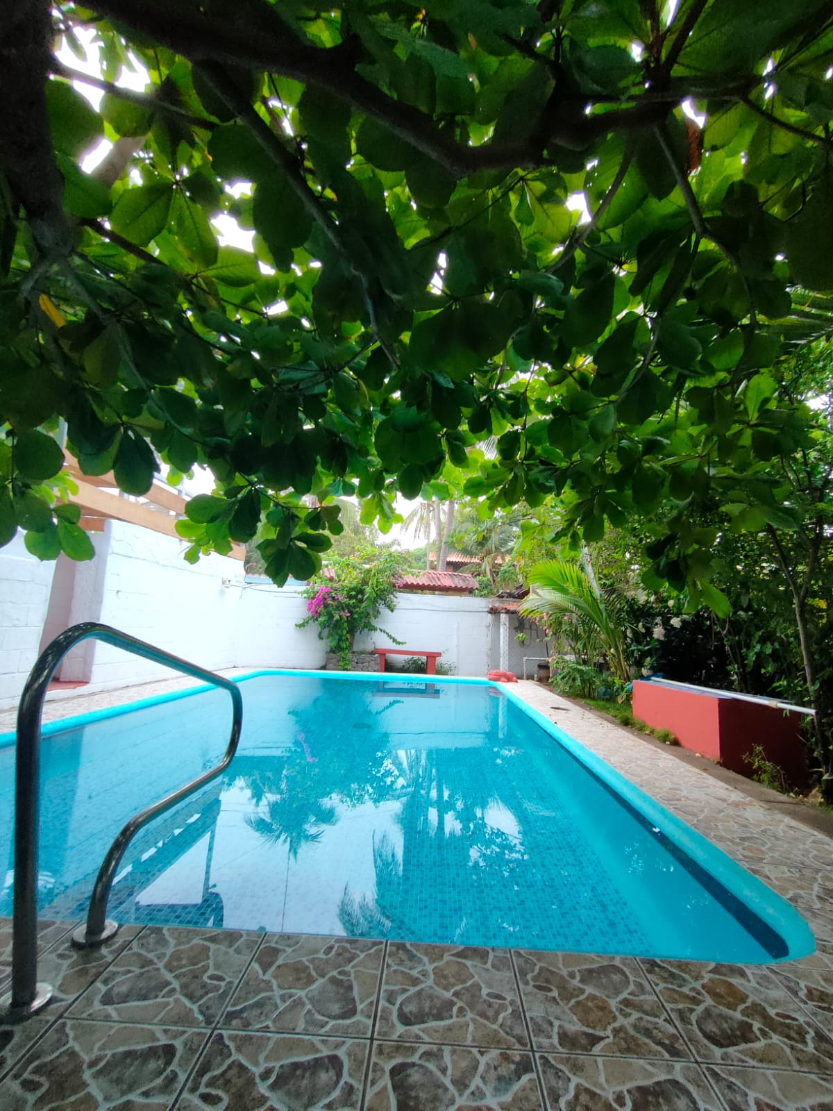 casa-tropical-jj