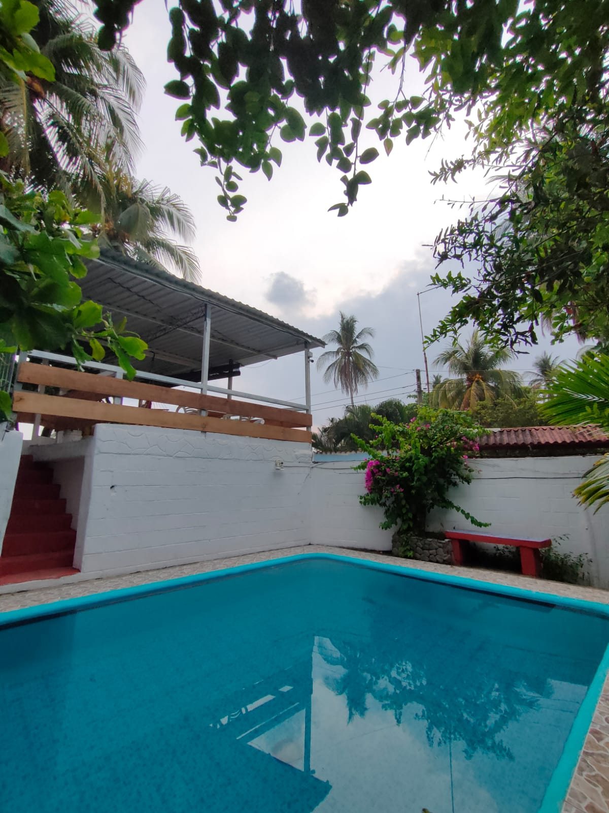 casa-tropical-jj