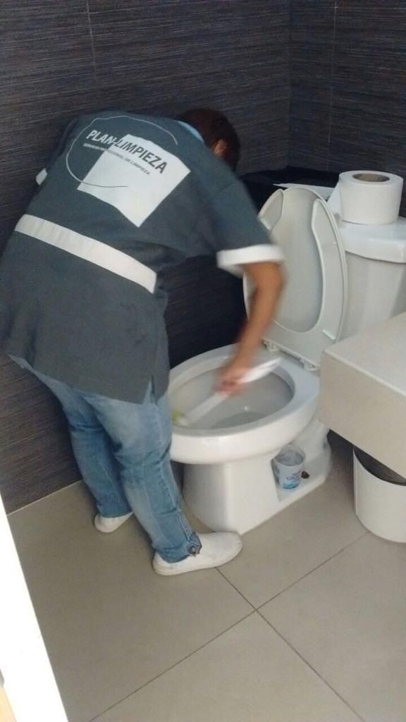 Una mujer está limpiando un inodoro en un baño.