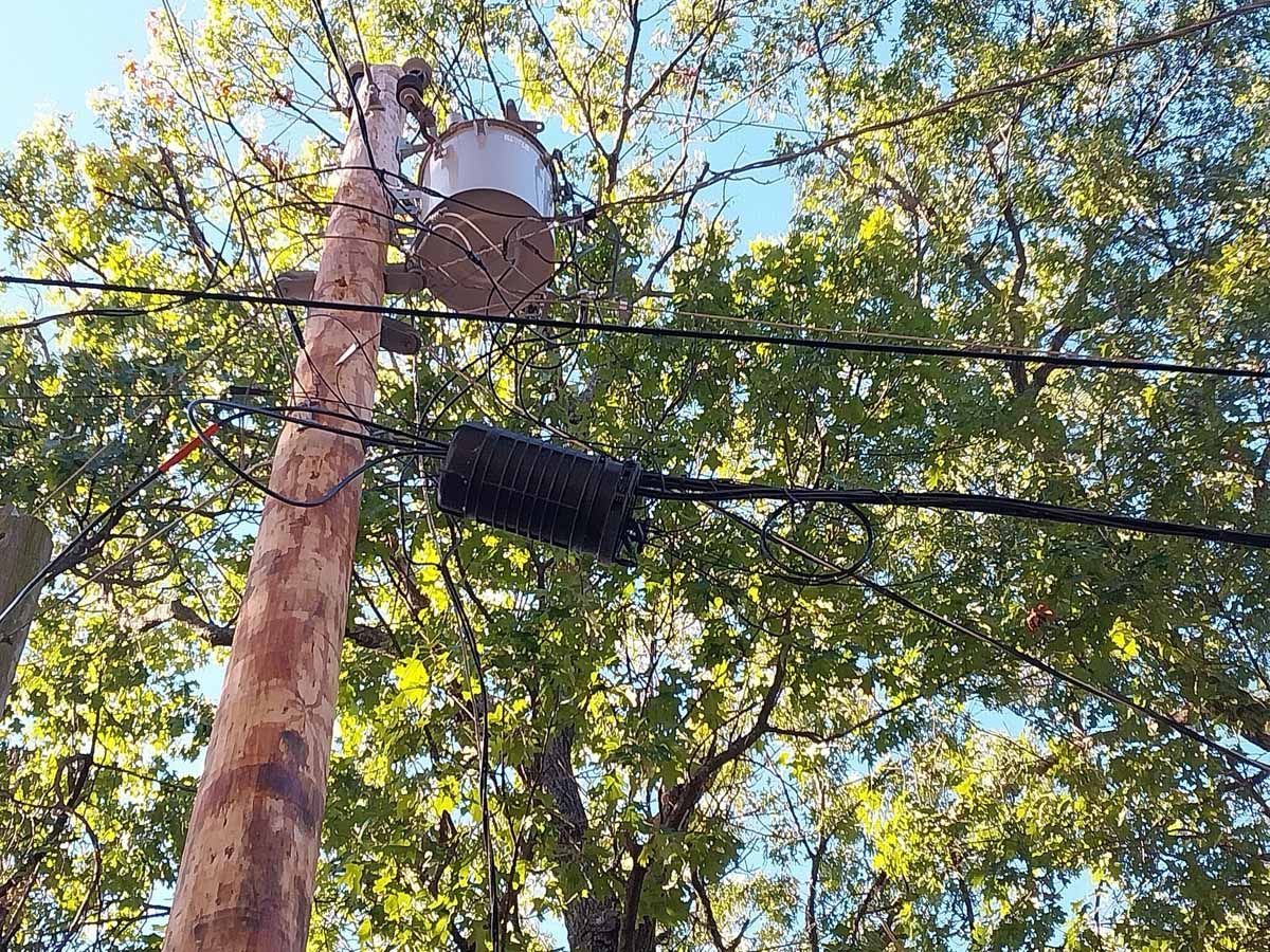 Treetop water tank beside a tall tree under a blue sky, with power lines crossing the view