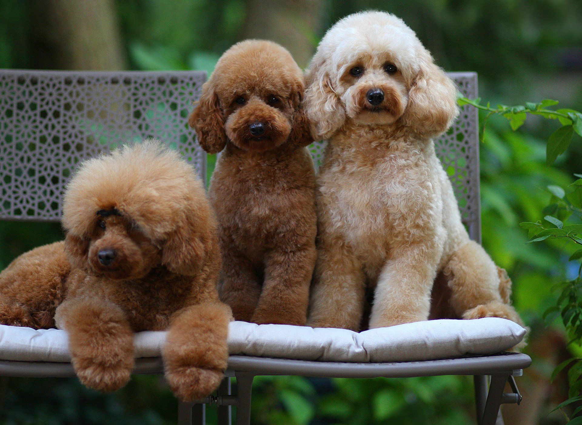 Unsere Mamas