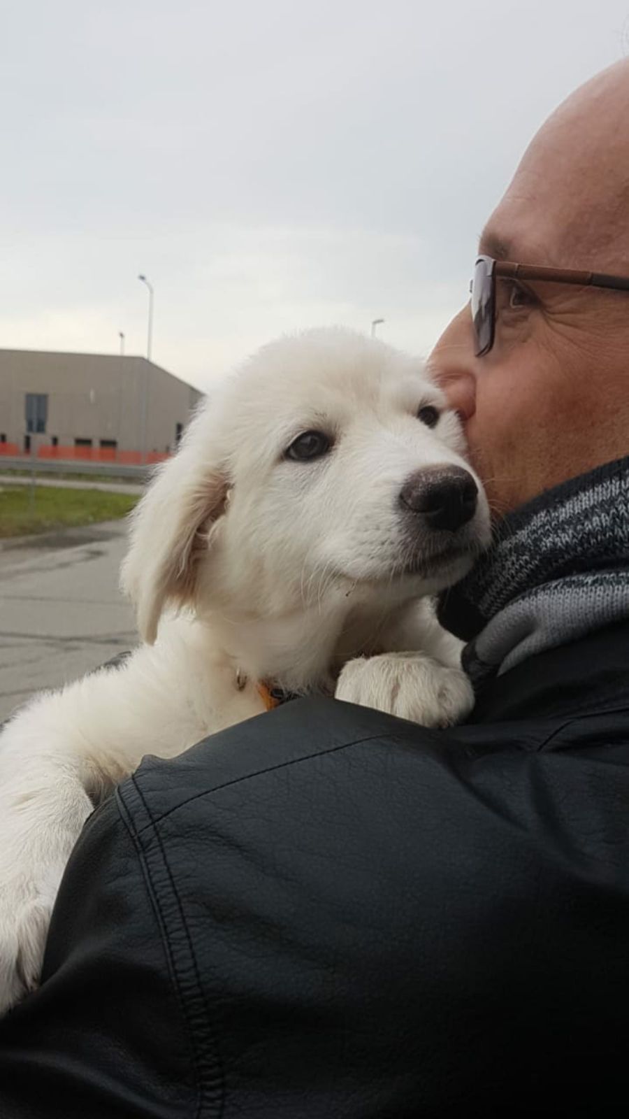 cliente mentre bacia il proprio cane