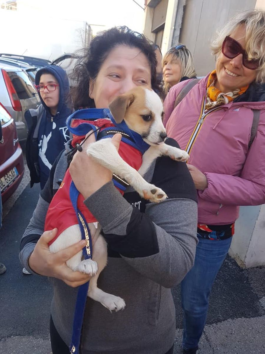 ragazza mentre abbraccia il proprio cane