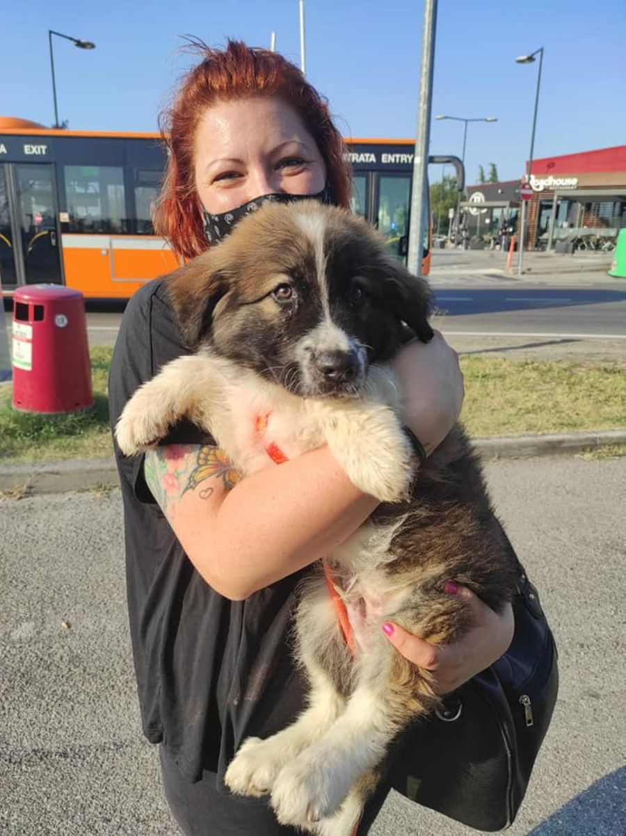 ragazza con cagnolone in braccio