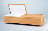 a wooden casket with the lid open on a white surface .