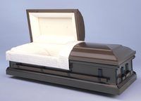 a silver coffin with the lid open is sitting on a table .