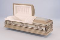 a coffin with the lid open is sitting on a white surface .