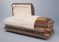 a copper coffin with the lid open on a blue surface .