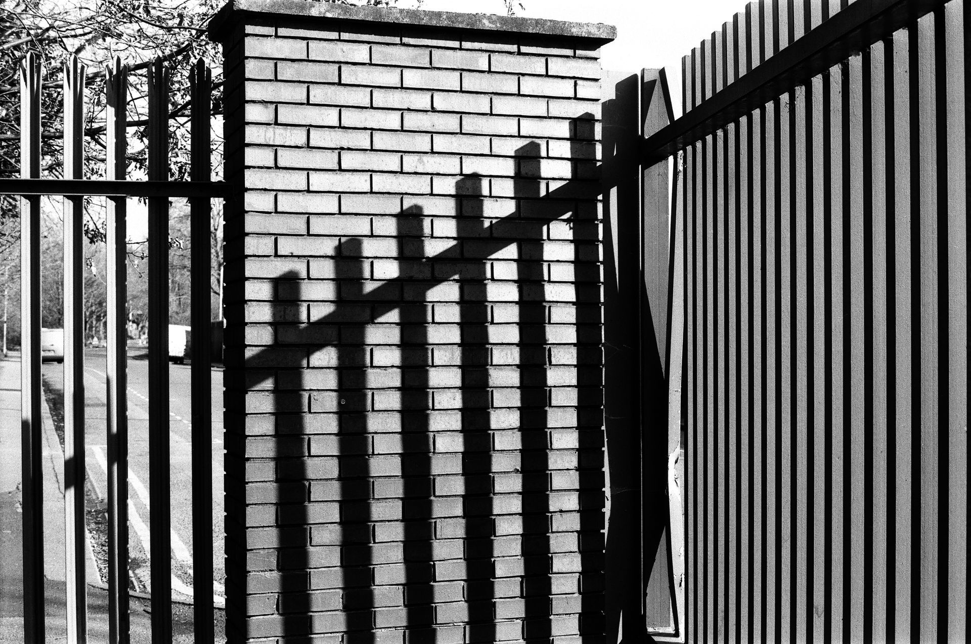 black and white photo of a metal fence and it's shadow