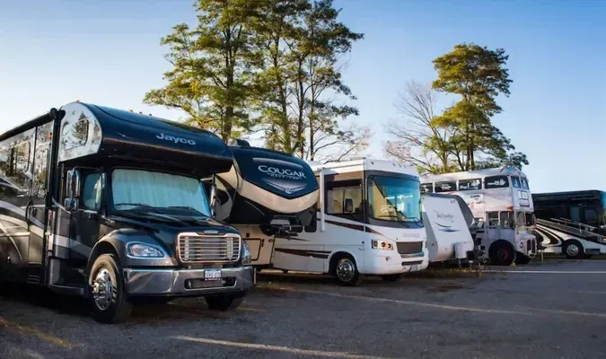 Parked RVs and motorhomes lined up outdoors under tall trees on a sunny day