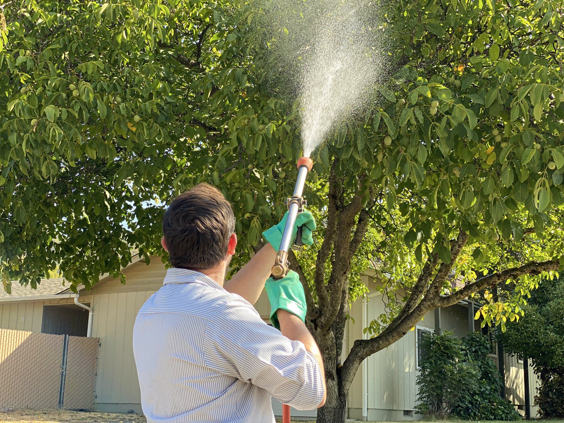 Pesticide spraying - Tree Care in Grants Pass, OR Pesticide spraying - Tree Care in Grants Pass, OR