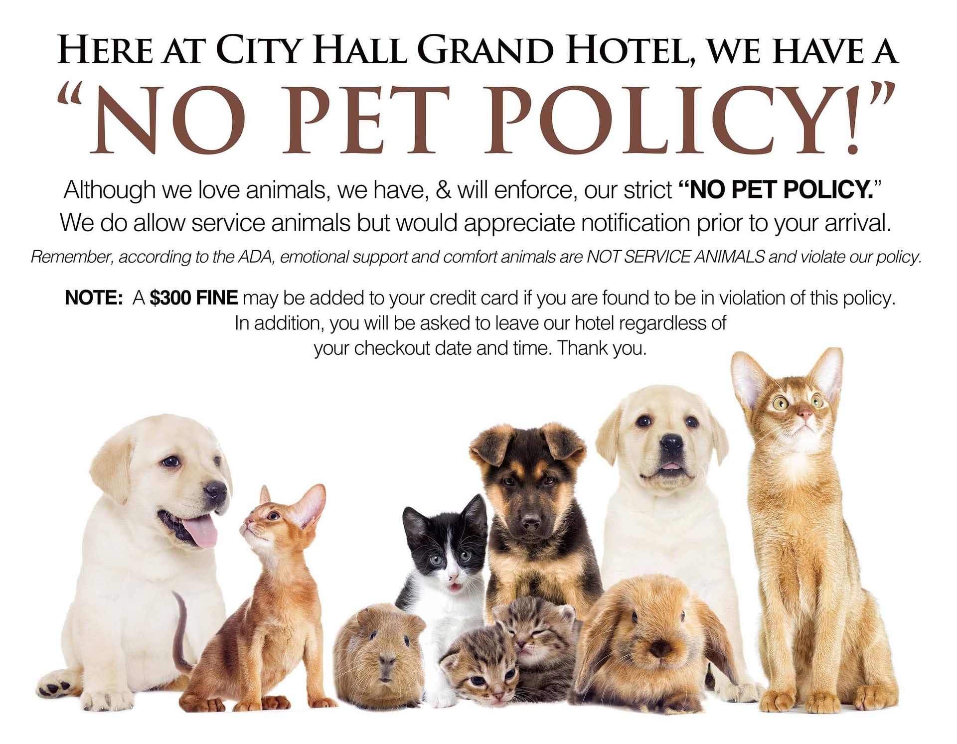 hotel-policies-city-hall-grand-hotel-williamsport