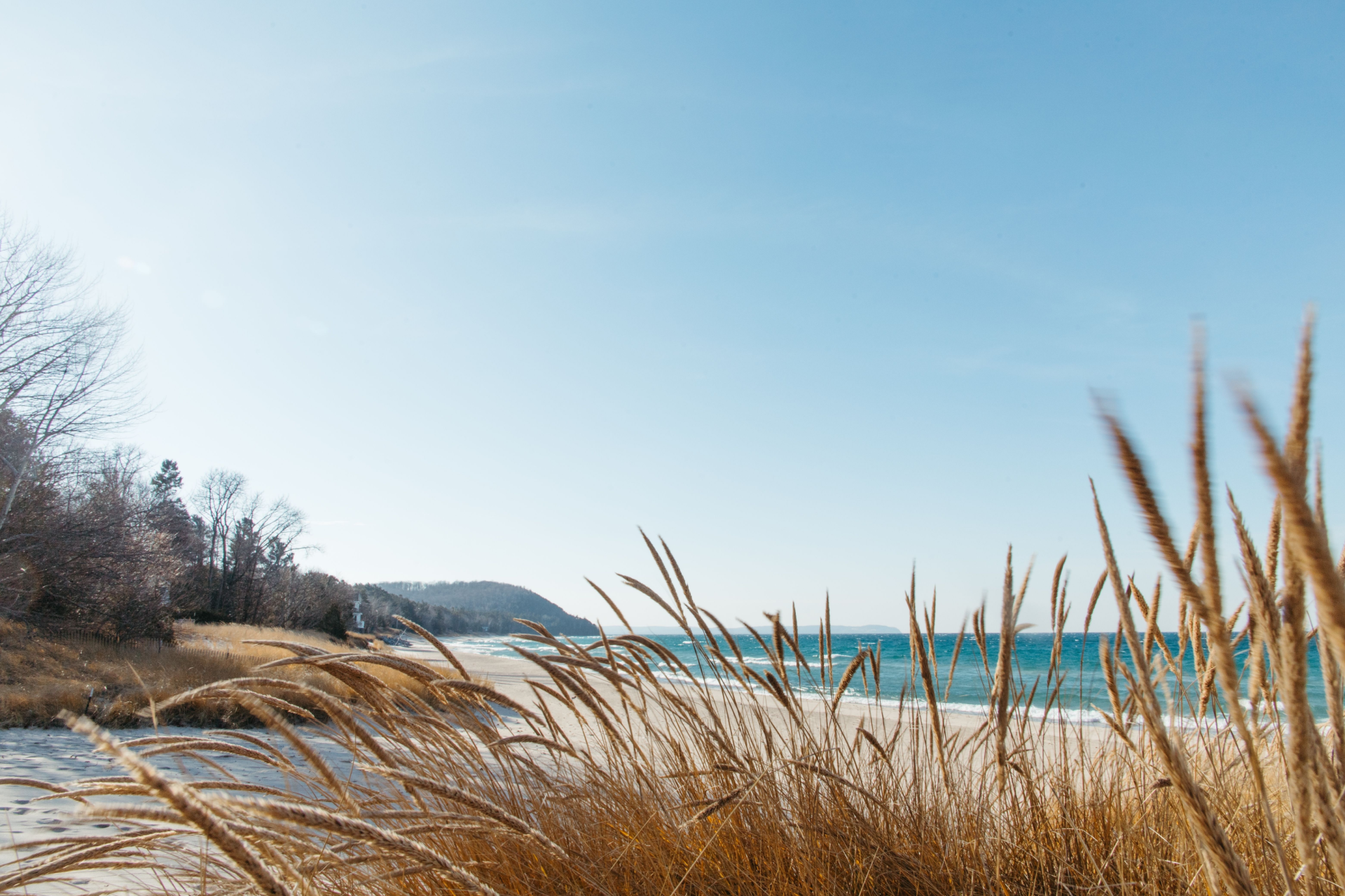 Dry beach grass in the foreground overlooks a sandy shoreline, blue water, and a tree-lined hill under a clear sky.