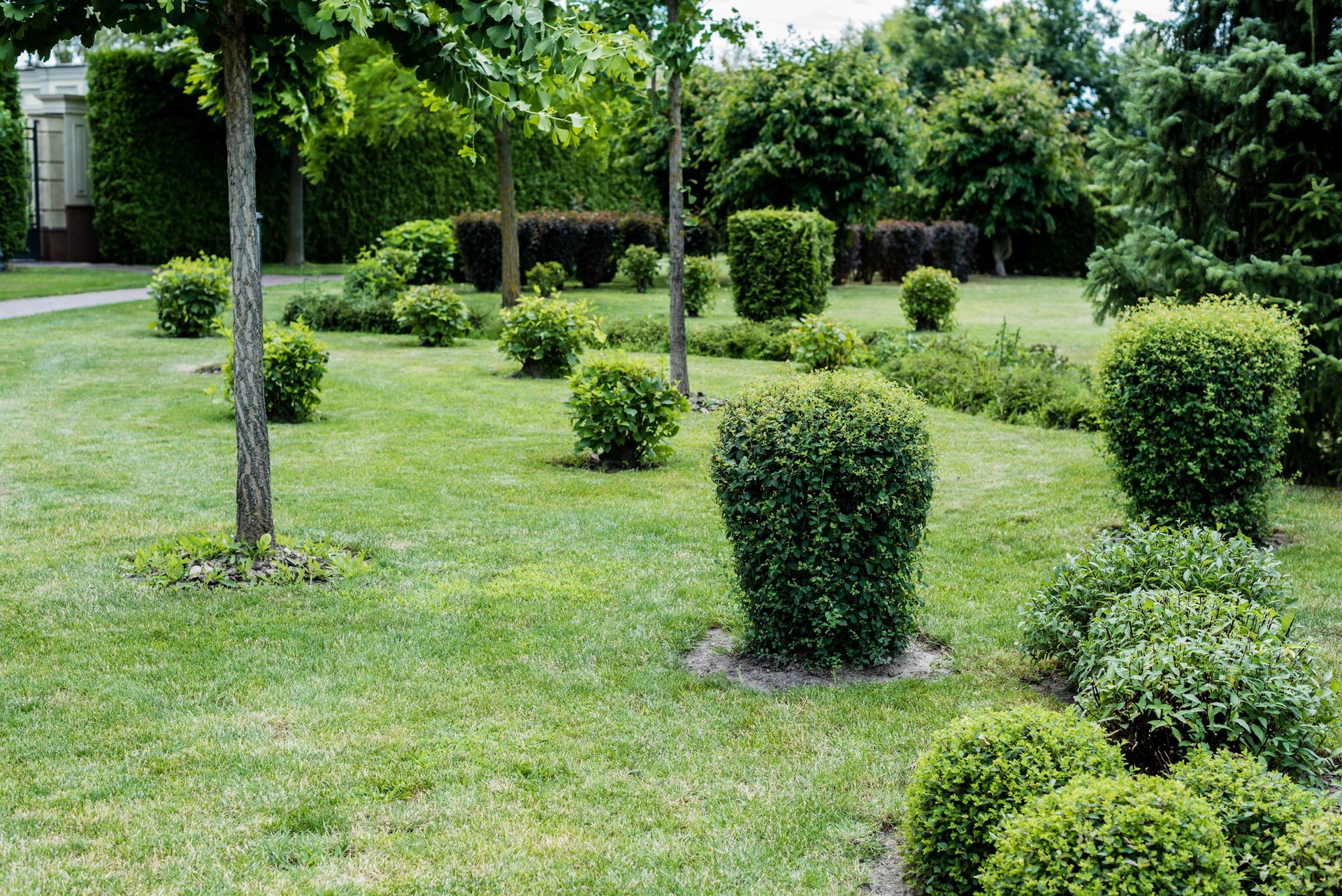 Hedges in Salem, VA Hedges in Salem, VA