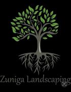 Landscaper in Salem, VA | Zuniga Landscaping Landscaper in Salem, VA | Zuniga Landscaping