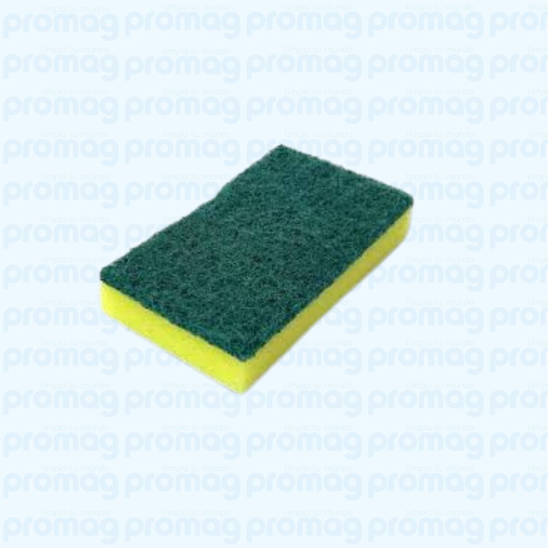 Esponjas
