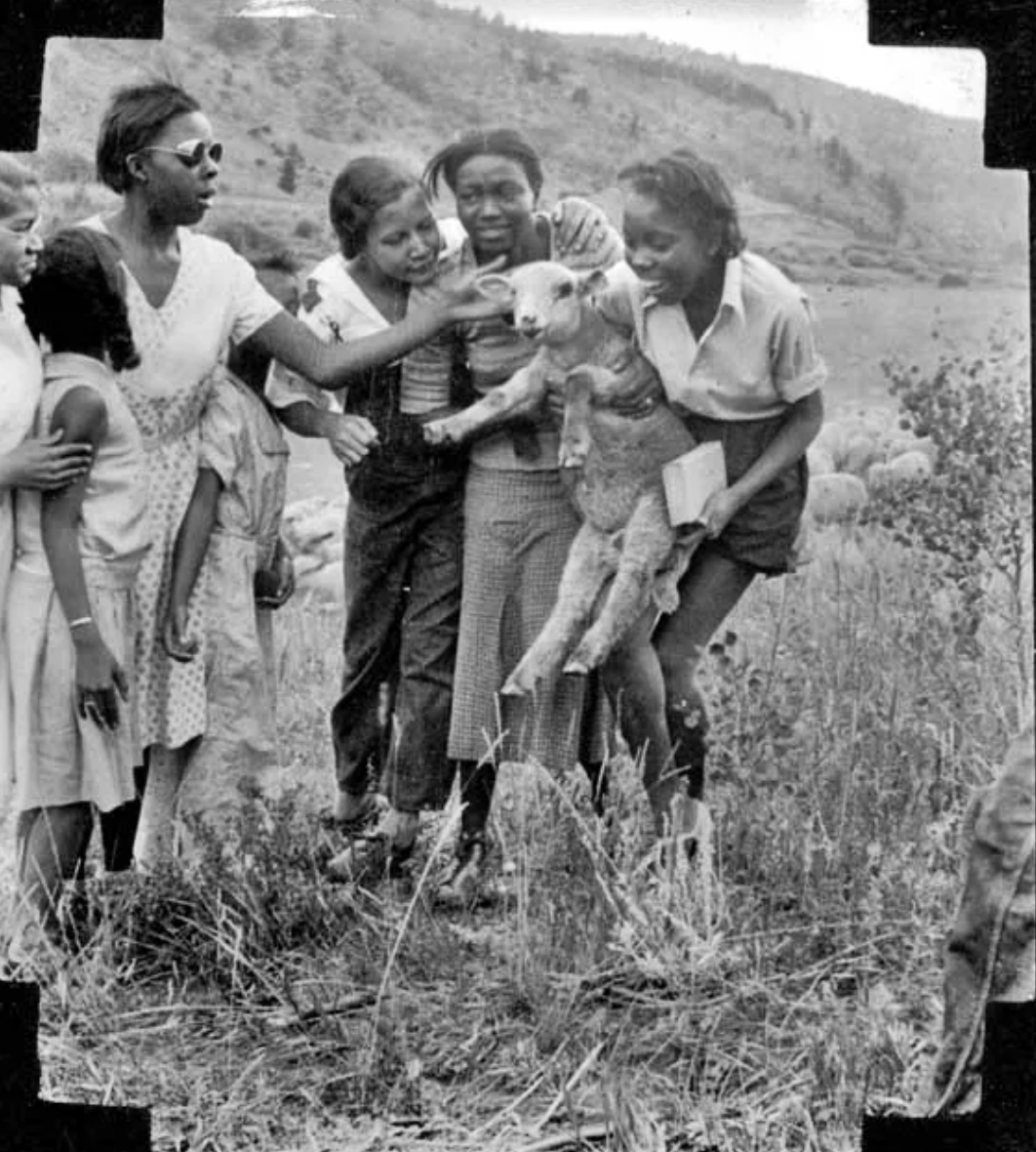 A black and white photo of a group of people holding a baby sheep
