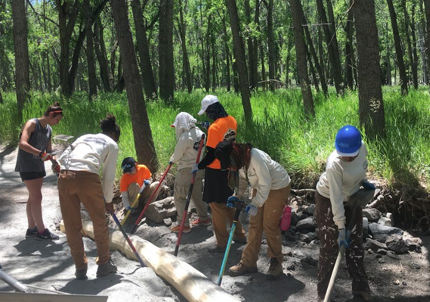A group of people are working in the woods