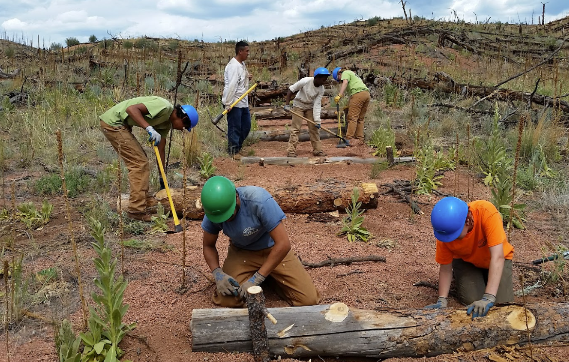 A group of people are working on a log in a field.