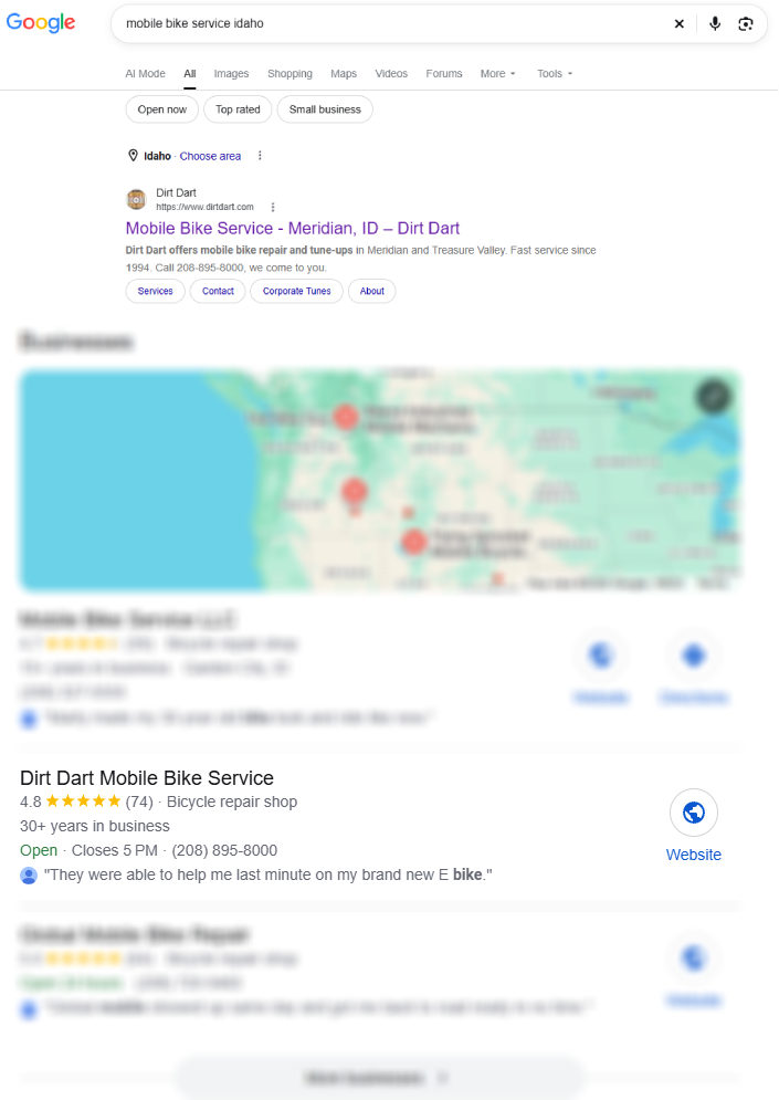 Google search results for